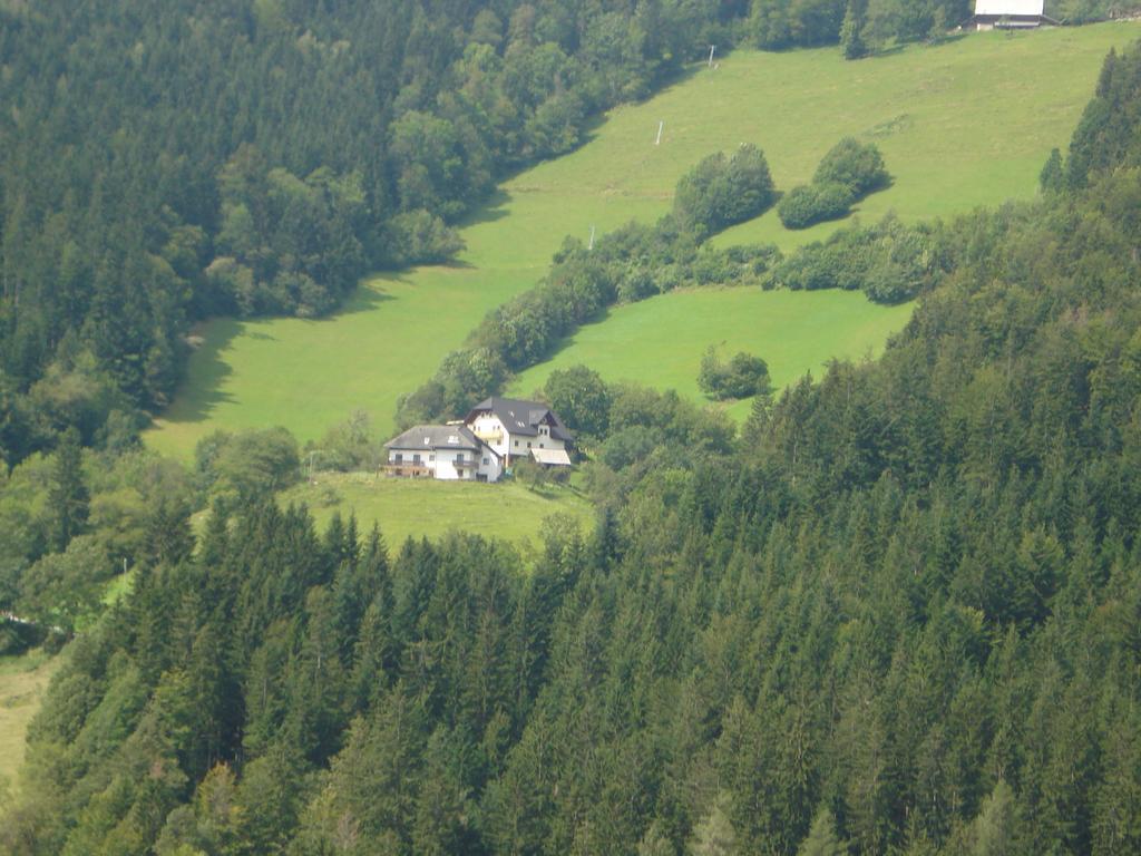 Farmstay Hisa Pecovnik Luče Exterior foto