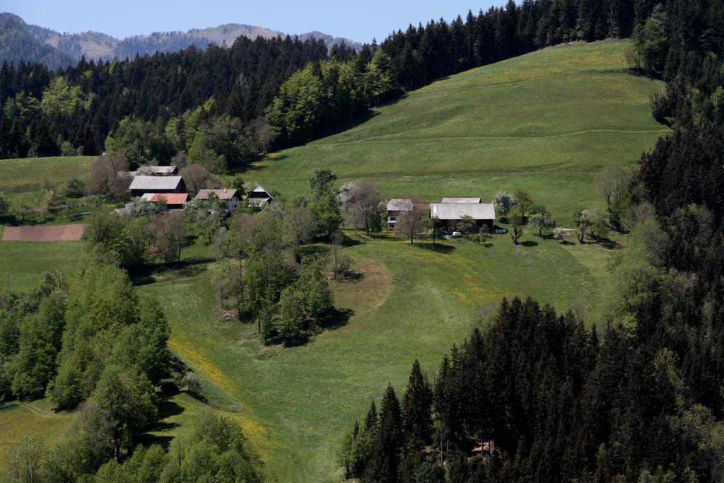 Farmstay Hisa Pecovnik Luče Exterior foto